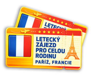 Letecký zájezd do Disneylandu